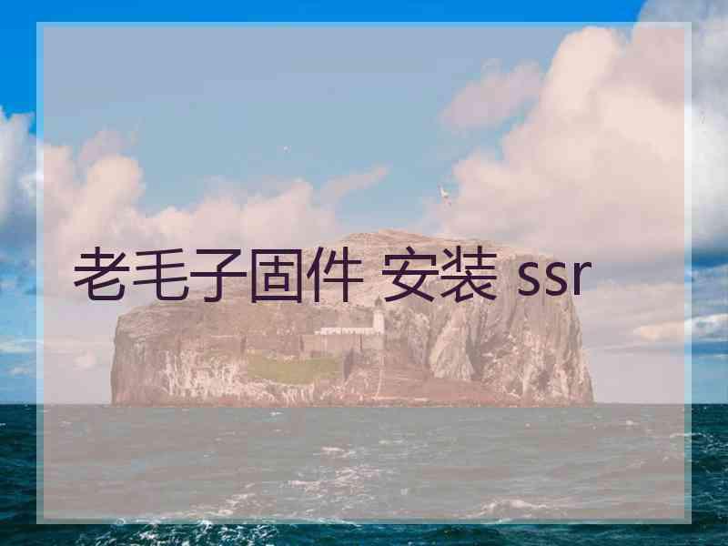 老毛子固件 安装 ssr