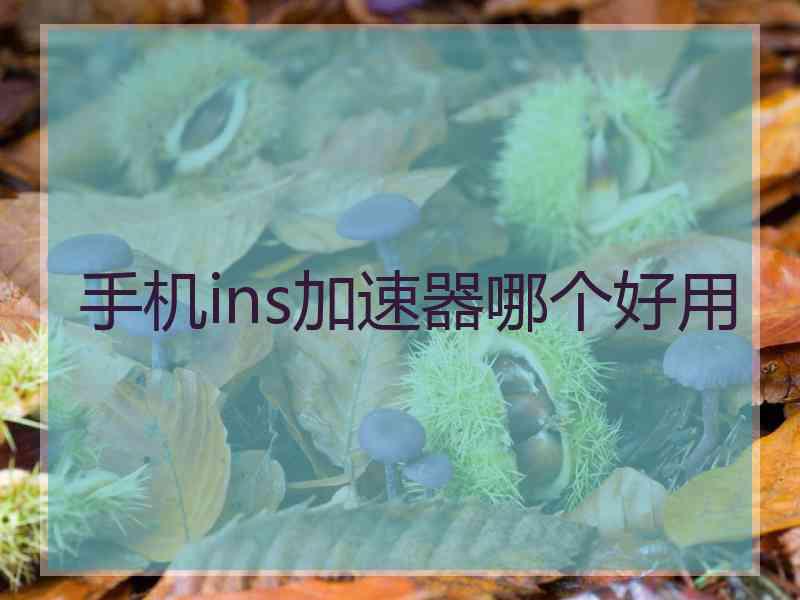 手机ins加速器哪个好用