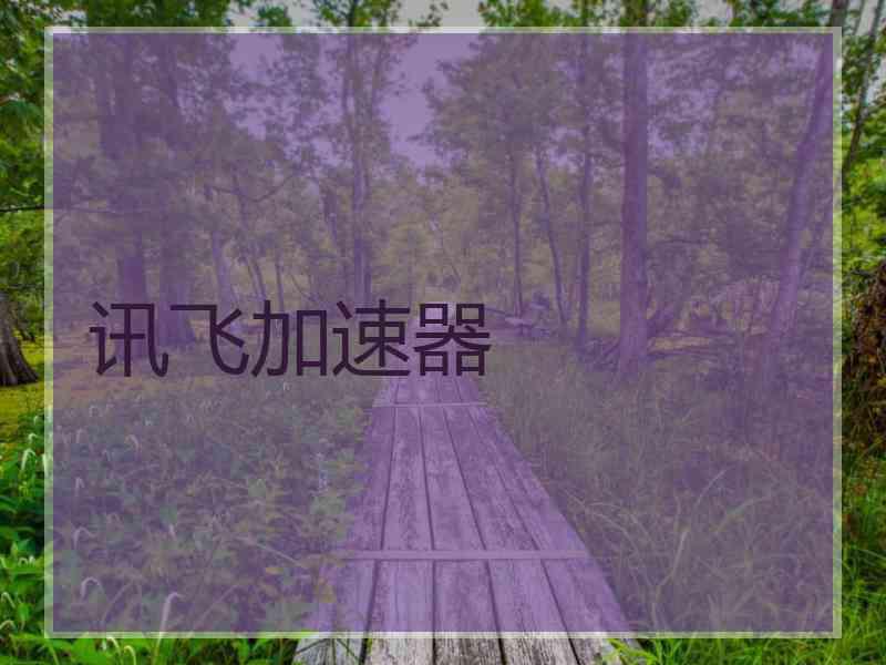 讯飞加速器