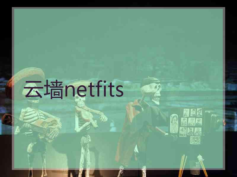 云墙netfits