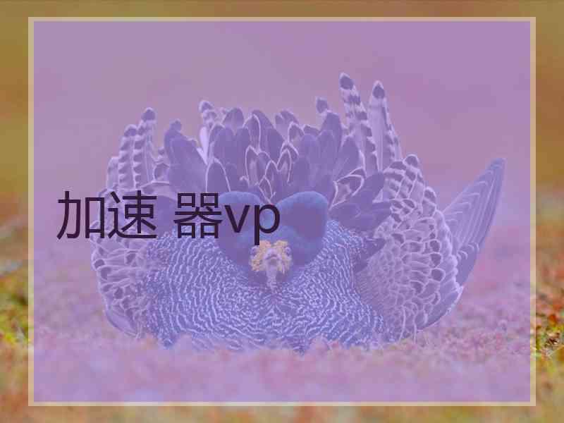 加速 器vp