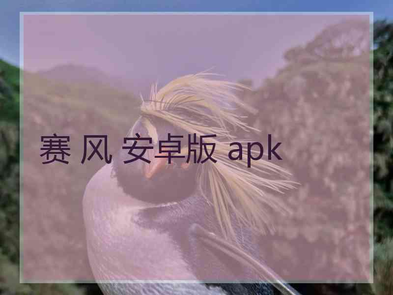 赛 风 安卓版 apk