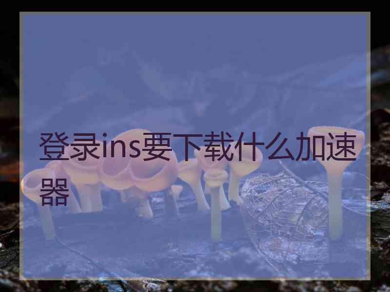 登录ins要下载什么加速器