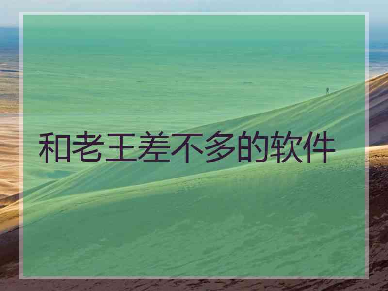 和老王差不多的软件