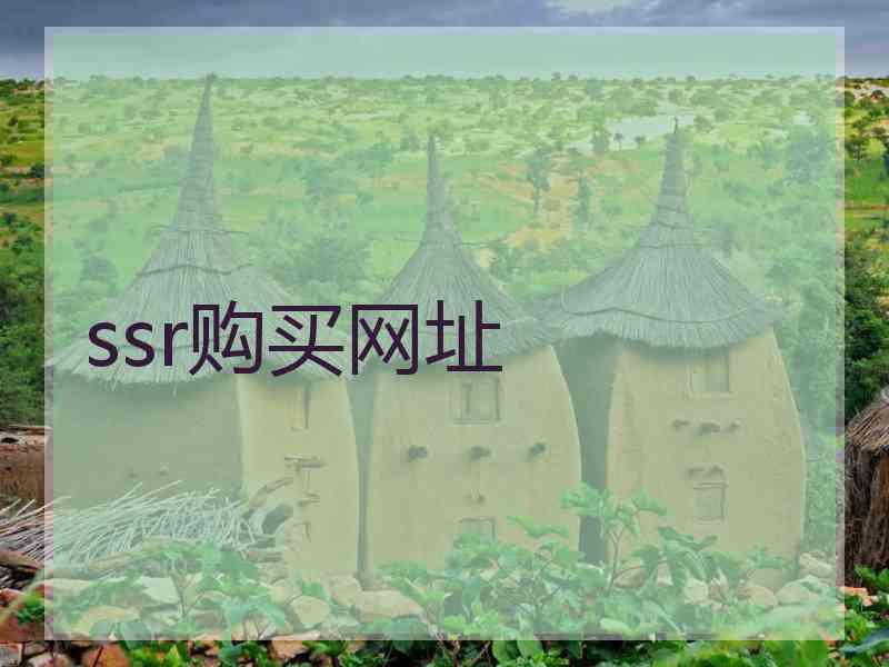 ssr购买网址
