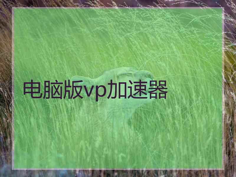 电脑版vp加速器