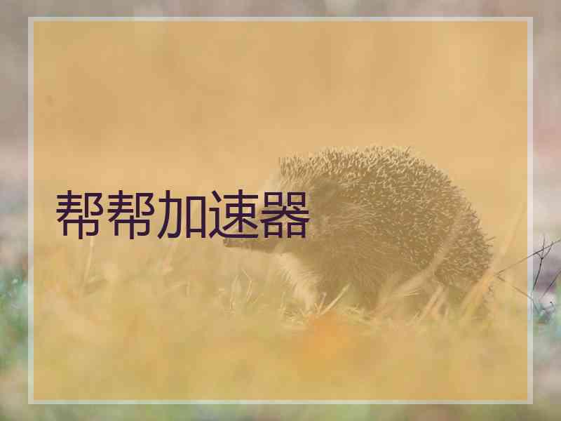 帮帮加速器