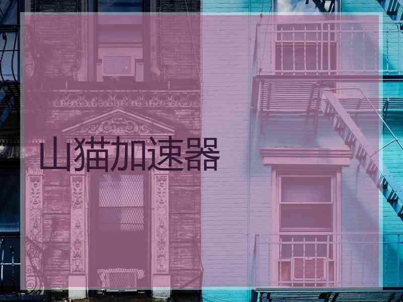 山猫加速器