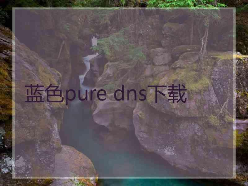 蓝色pure dns下载