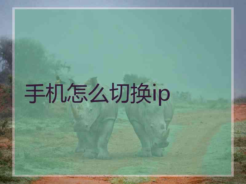 手机怎么切换ip