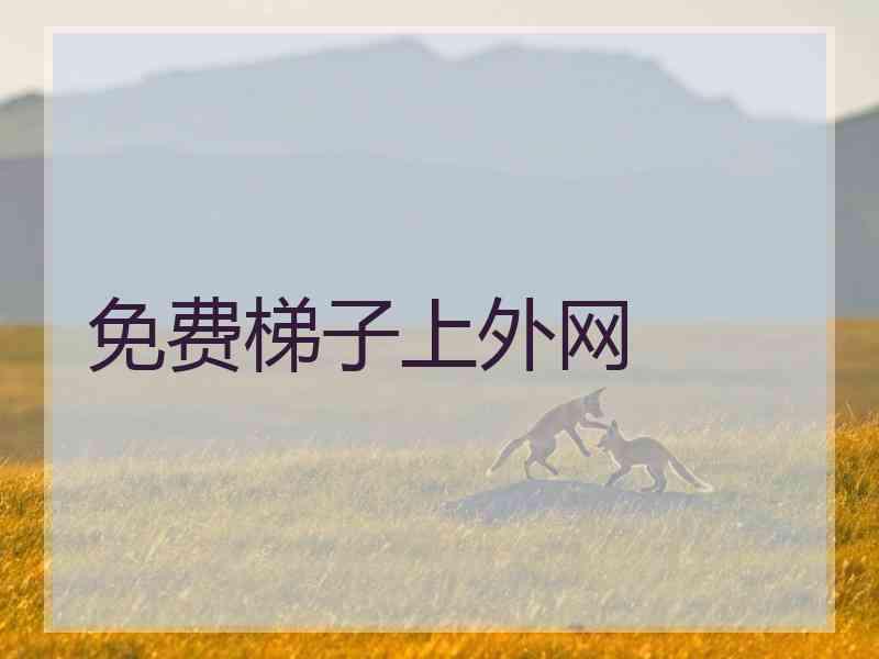 免费梯子上外网