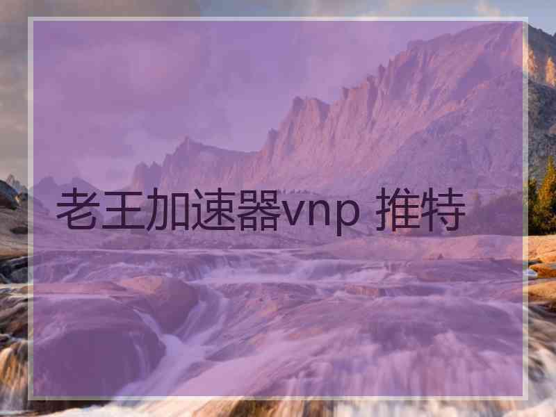 老王加速器vnp 推特