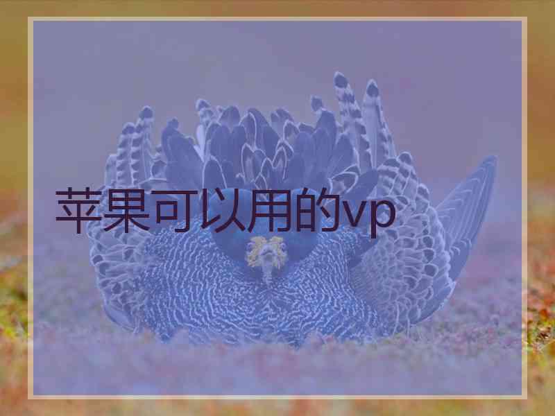 苹果可以用的vp