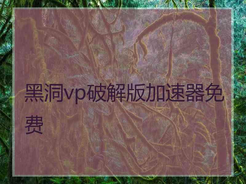 黑洞vp破解版加速器免费