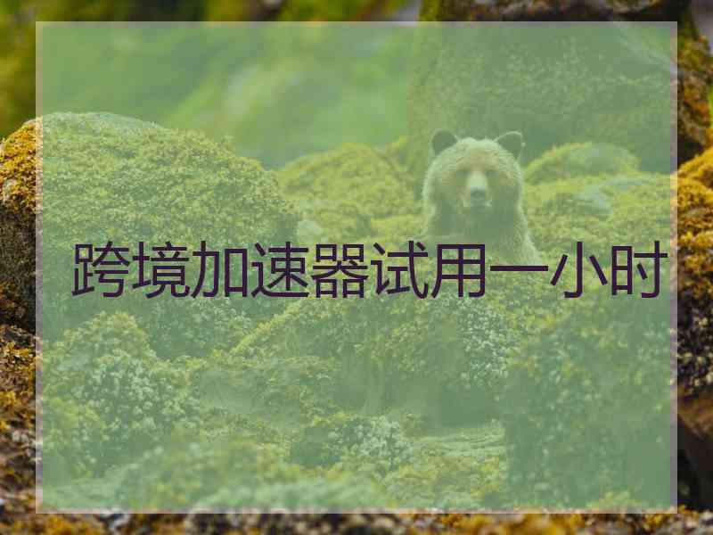 跨境加速器试用一小时