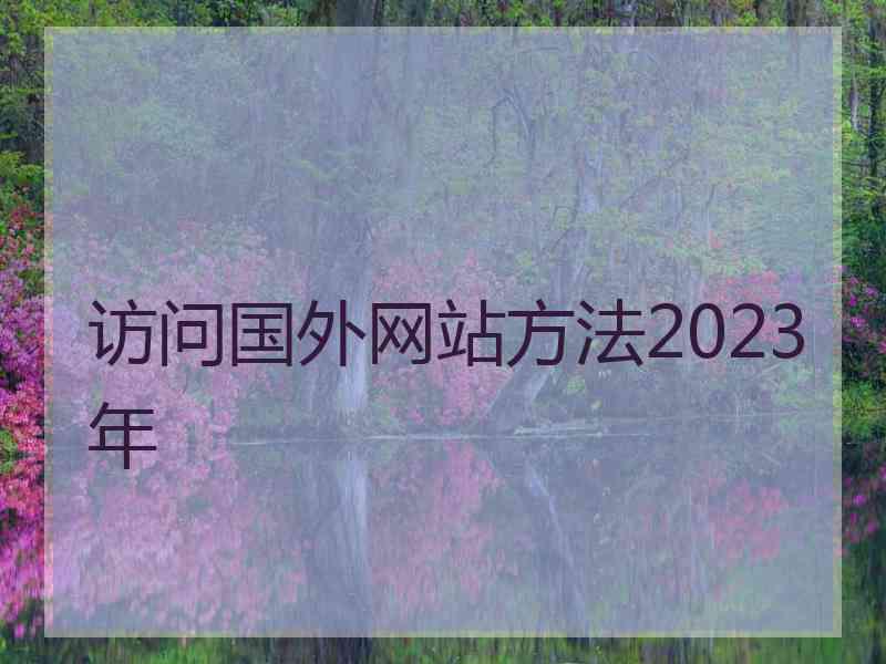 访问国外网站方法2023年