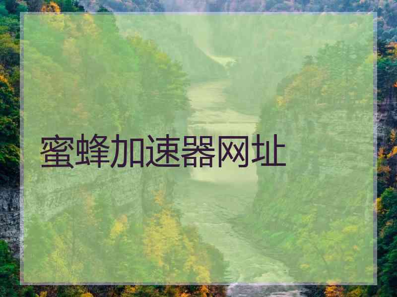 蜜蜂加速器网址