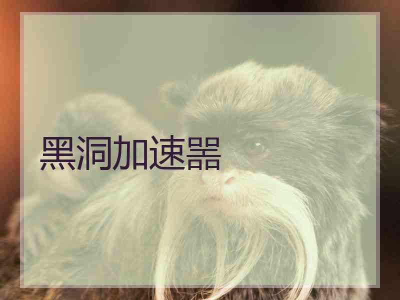 黑洞加速噐