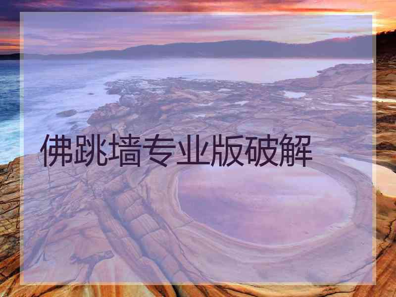 佛跳墙专业版破解