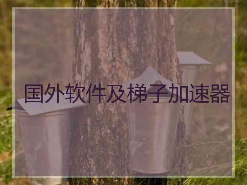 国外软件及梯子加速器