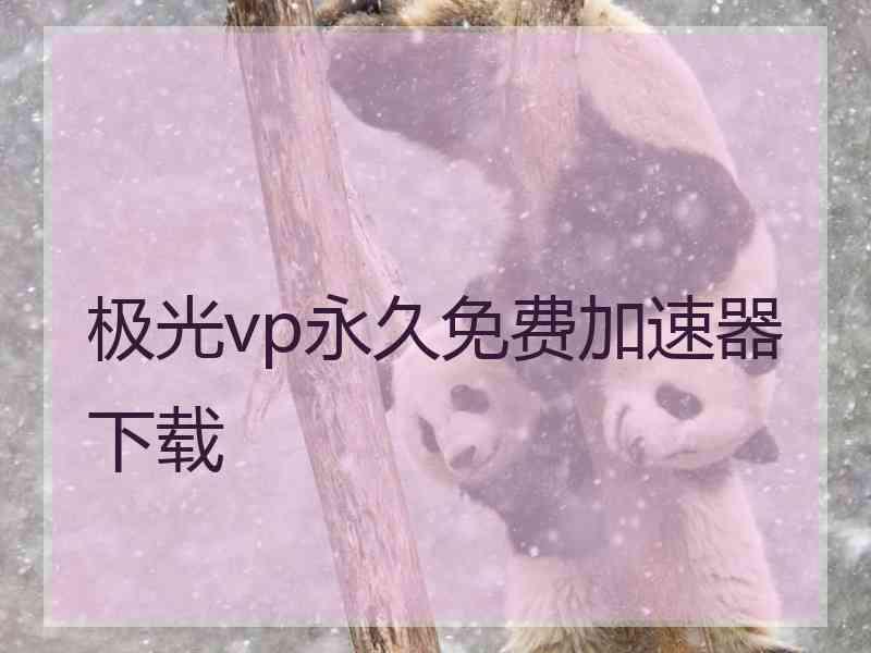 极光vp永久免费加速器下载