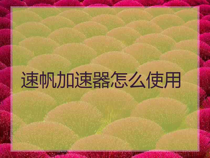 速帆加速器怎么使用