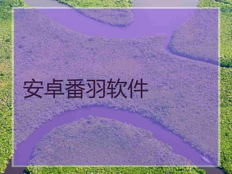安卓番羽软件
