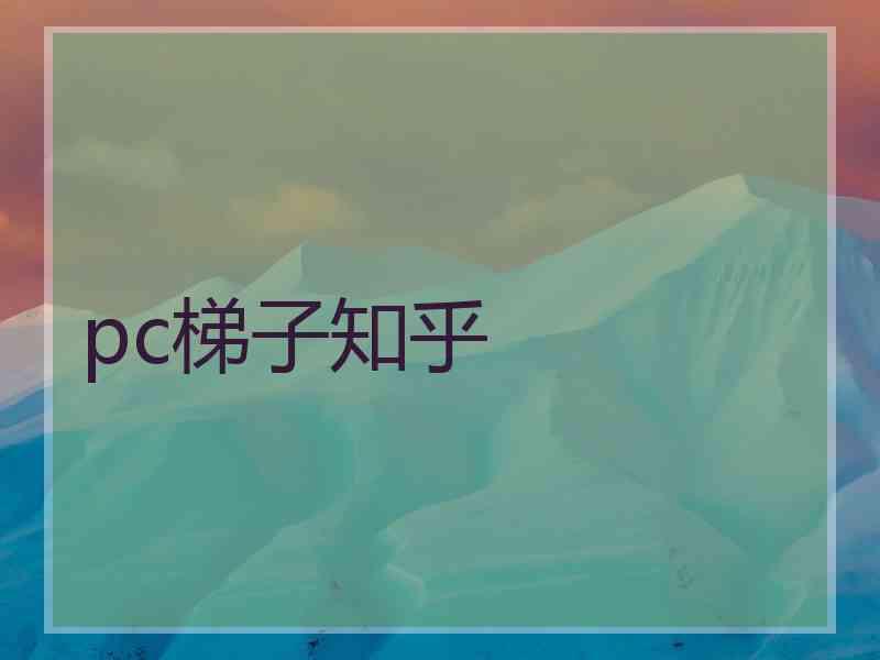 pc梯子知乎