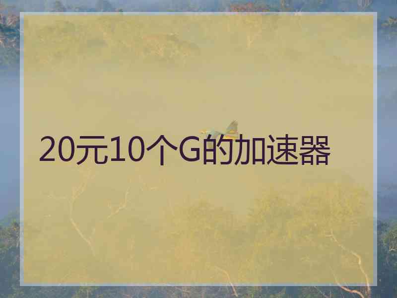 20元10个G的加速器