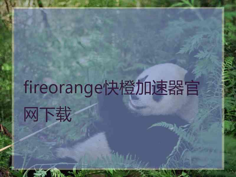 fireorange快橙加速器官网下载