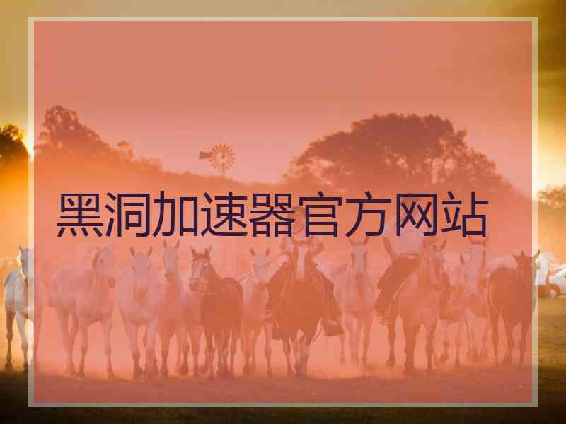 黑洞加速器官方网站