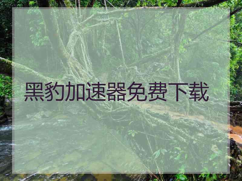 黑豹加速器免费下载