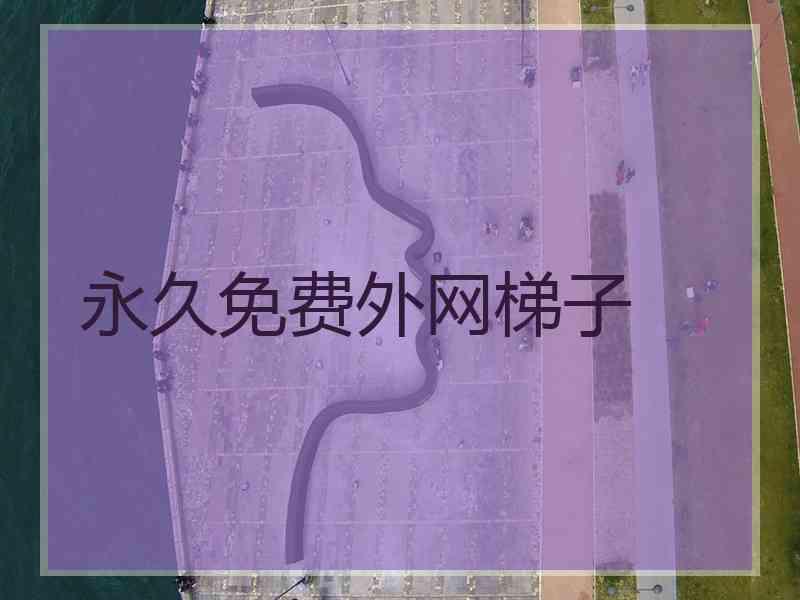 永久免费外网梯子