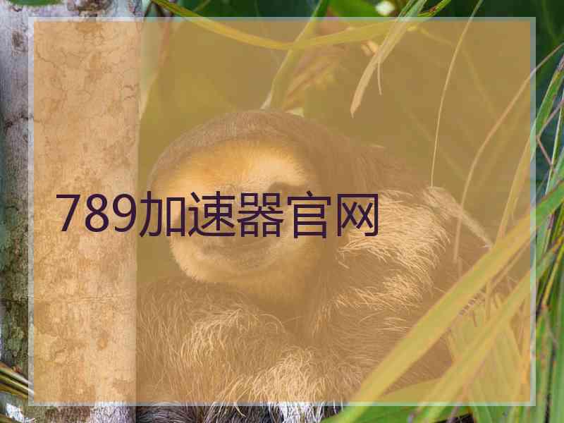 789加速器官网