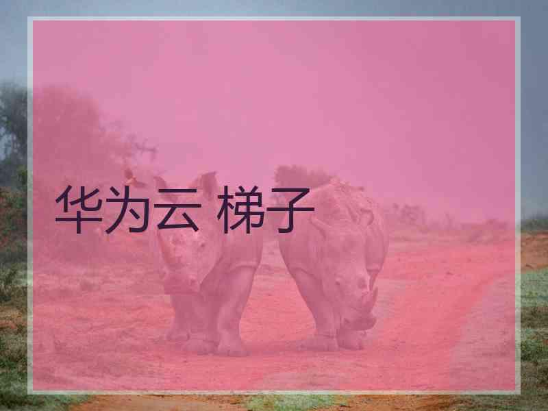 华为云 梯子